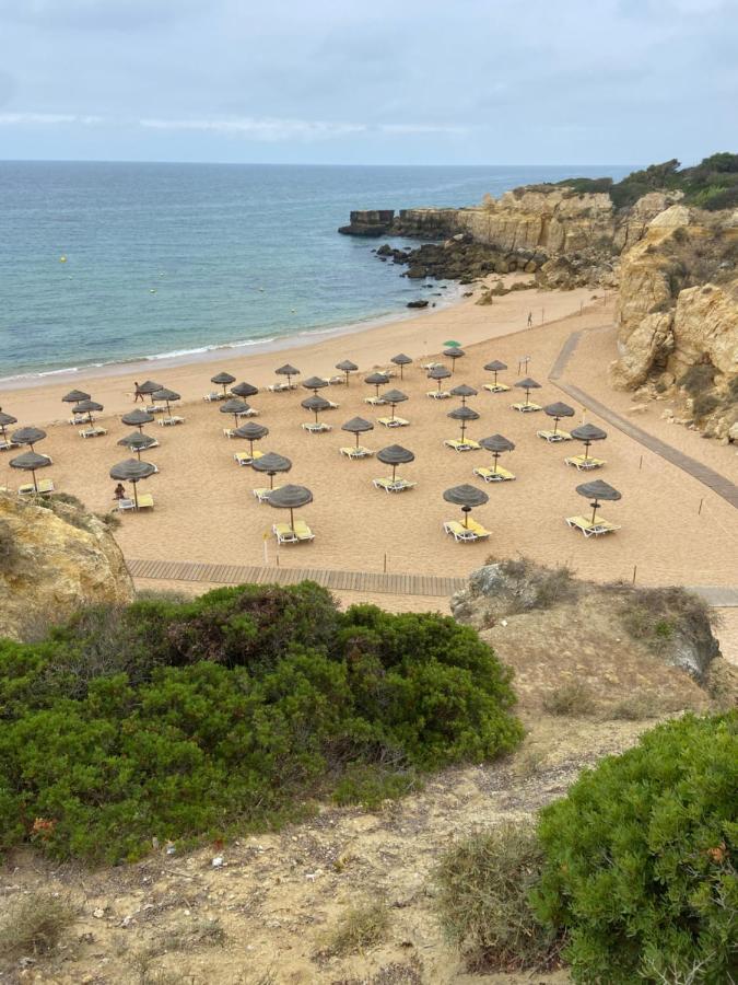 Parra Home Holidays - Close To Gale Beach Guia  Buitenkant foto